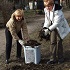 Алла Лакко. Общественная деятельность.