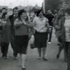 Алла Лакко. Общественная деятельность.